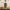 AAVYA Moisture Repair Hair Conditioner