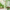 AAVYA Aloe Vera Body Lotion