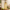 AAVYA Nourishing Hair Oil